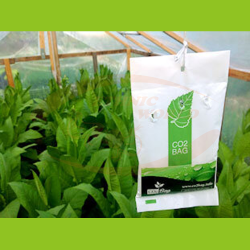 CO2Bag