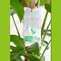 CO2Bag XL