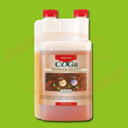 CANNA COGr Buffer