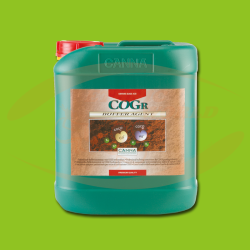 CANNA COGr Buffer