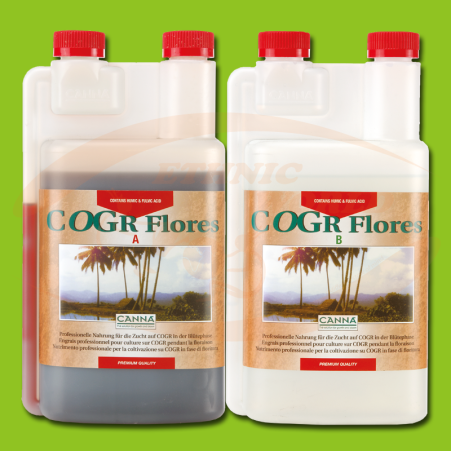 CANNA COGr Flores  A+B