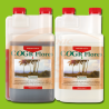 CANNA COGr Flores  A+B