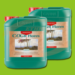 CANNA COGr Flores  A+B
