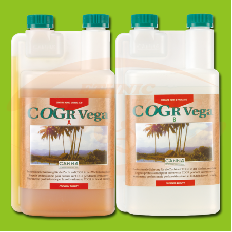 CANNA COGr Vega  A+B