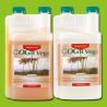 CANNA COGr Vega  A+B