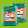 CANNA COGr Vega  A+B