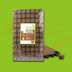 Eazy Plug - Plate ( 77)