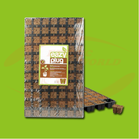 Eazy Plug - Plate ( 77)