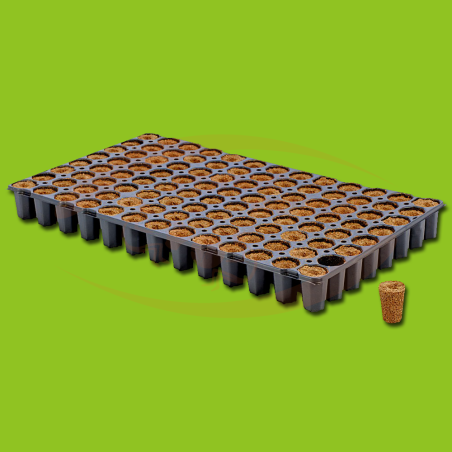 Eazy Plug - Plate (104CF)