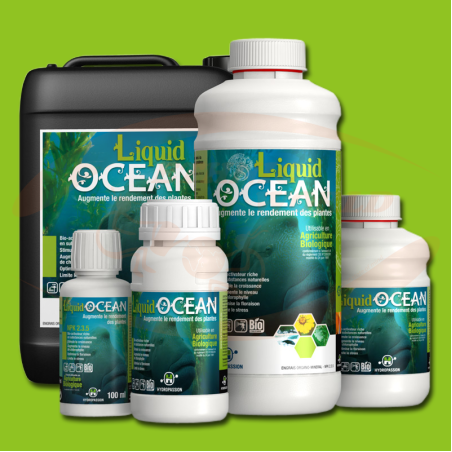 HP Liquid Ocean