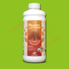 HP Master Grower Bio Vegan Bloom