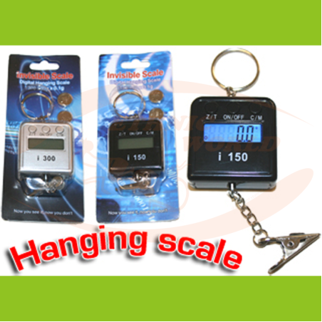 Invisible Scale - i 300