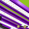 Lumatek LED ATS 300W PRO 2.7