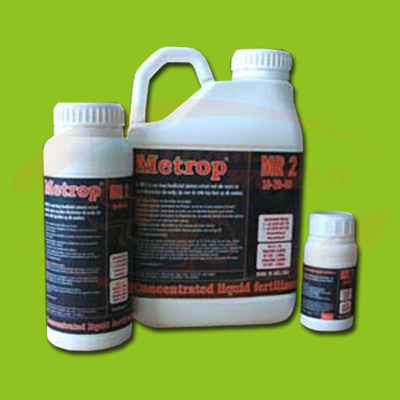 Metrop MR 2