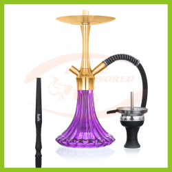 Aladin MVP A36 - Gold Purple