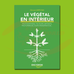 Le végétal en intérieur