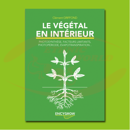 Le végétal en intérieur