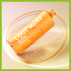 LOST MARY MO5000 20 mg Watermelon Cherry (5000)