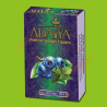 Adalya Blueberry Mint