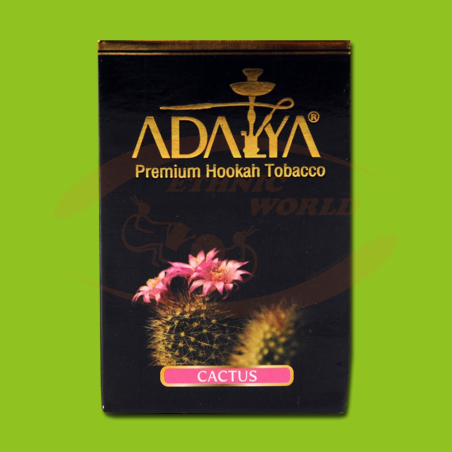 Adalya Cactus