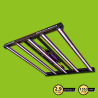 Kit Terre Lumatek LED 240x120cm