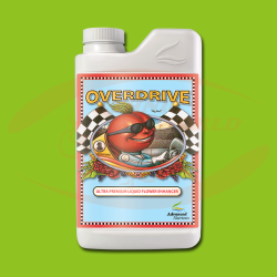 AN Overdrive