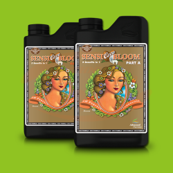 AN pH Perfect Sensi COCO Bloom  A+B
