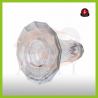 Amy Deluxe Carbonica Pride RS (SS22.02R)