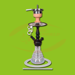 Amy Deluxe Little Zuri R (340R)