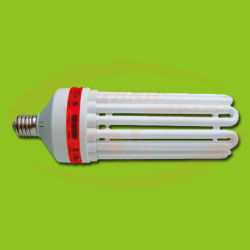 Phytolite CFL Red