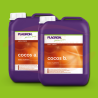 Plagron Coco  A+B