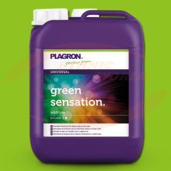 Plagron Green Sensation