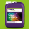 Plagron Green Sensation