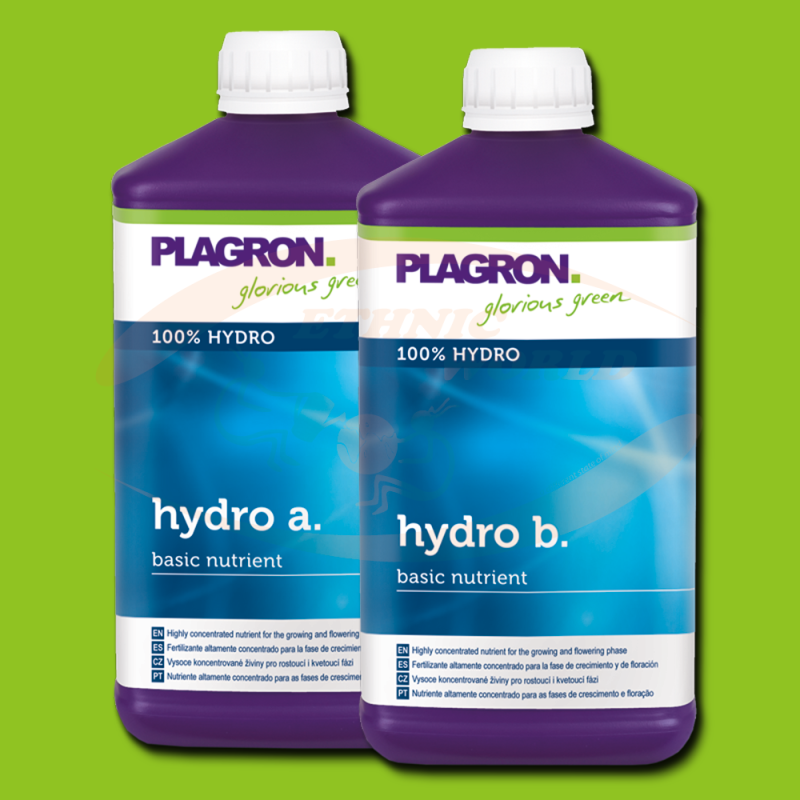 Plagron Hydro  A+B