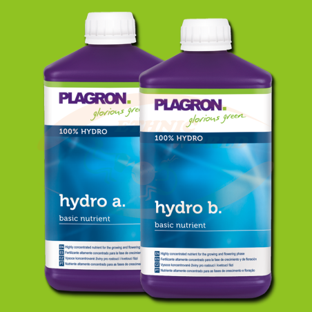 Plagron Hydro  A+B