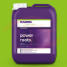 Plagron Power Roots