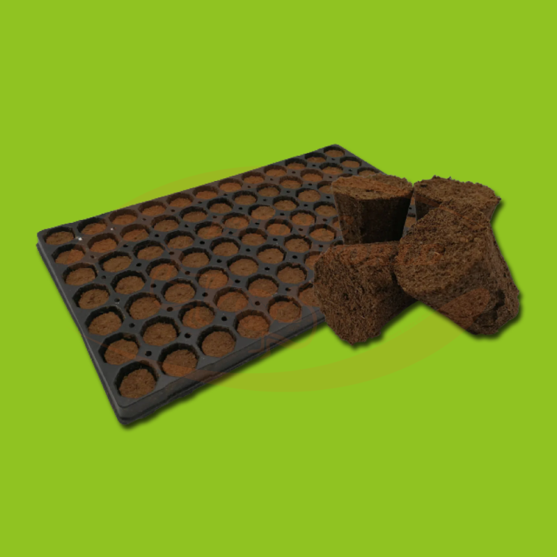 Planta Plug Tray ( 77)