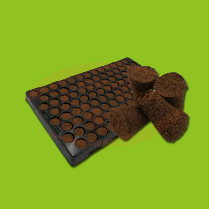 Planta Plug Tray (104)