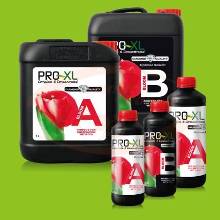 PRO-XL Bloom  A+B