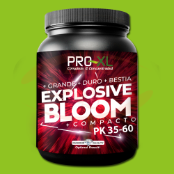 PRO-XL Explosive Bloom