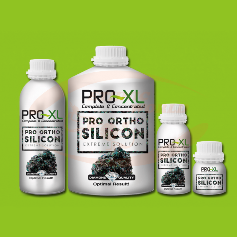 PRO-XL Pro Ortho Silicon