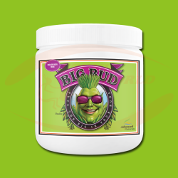 AN Big Bud Powder
