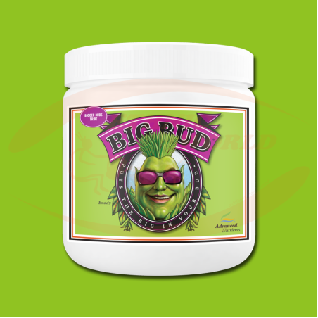 AN Big Bud Powder