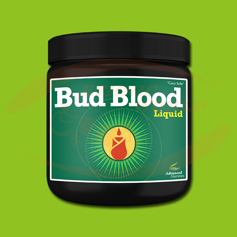 AN Bud Blood Powder