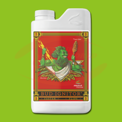 AN Bud Ignitor