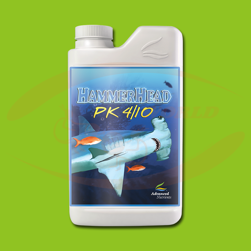 AN HammerHead