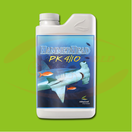 AN HammerHead