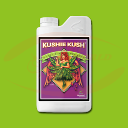 AN Kushie Kush