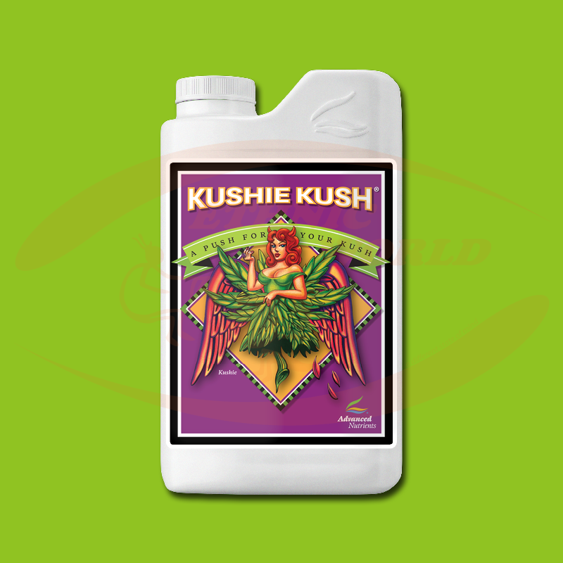 AN Kushie Kush
