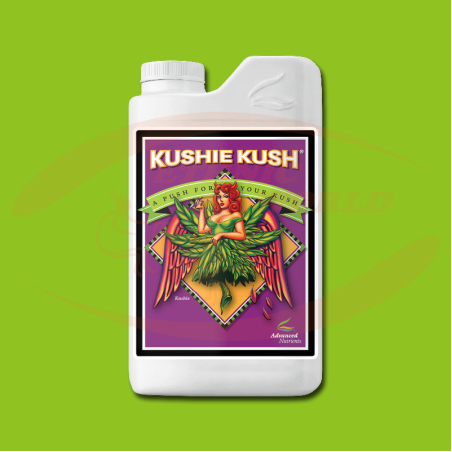 AN Kushie Kush